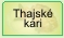 Thajsk� kari - kuracie m�so